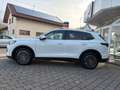 Volkswagen Tiguan 1.5 eTSI Elegance DSG/AHK/NAV/RFK/SHZ Weiß - thumbnail 2