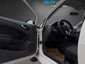 SEAT Ibiza Reference 1,2 Weiß - thumbnail 24