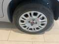 Fiat Panda Panda III 2016 1.2 Easy s Grau - thumbnail 12