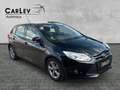 Ford Focus LM-Felgen Zahnriemen neu  Lordosenstütze Noir - thumbnail 1
