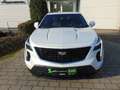 Cadillac XT4 Sport 2.0Turbo AWD AHK Panoramadach Weiß - thumbnail 6