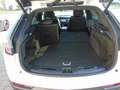Cadillac XT4 Sport 2.0Turbo AWD AHK Panoramadach Weiß - thumbnail 25