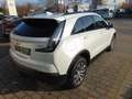 Cadillac XT4 Sport 2.0Turbo AWD AHK Panoramadach Weiß - thumbnail 8