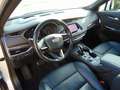 Cadillac XT4 Sport 2.0Turbo AWD AHK Panoramadach Weiß - thumbnail 9