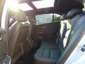 Cadillac XT4 Sport 2.0Turbo AWD AHK Panoramadach Weiß - thumbnail 10
