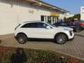 Cadillac XT4 Sport 2.0Turbo AWD AHK Panoramadach Weiß - thumbnail 5
