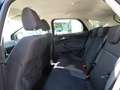 Ford Focus Lim. Trend Schwarz - thumbnail 14