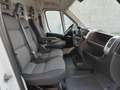 Fiat Ducato 3.0 136 cv  Metano/Benzina L3H2 Weiß - thumbnail 13