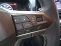SEAT Ibiza 1.0 TSI 85kW Special Edition Xcellence Negro - thumbnail 12