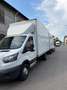 Ford Transit Bianco - thumbnail 3