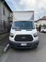 Ford Transit Bianco - thumbnail 1