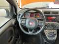 Fiat Panda 1.2 EASY 69CV CAMBIO MANUALE Orange - thumbnail 16