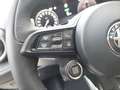 Alfa Romeo Tonale Alfa Romeo Tonale Ibrida-1.5 175PS FWD VELOCE Grau - thumbnail 16
