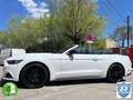 Ford Mustang Convertible 2.3 EcoBoost Aut. Blanco - thumbnail 7