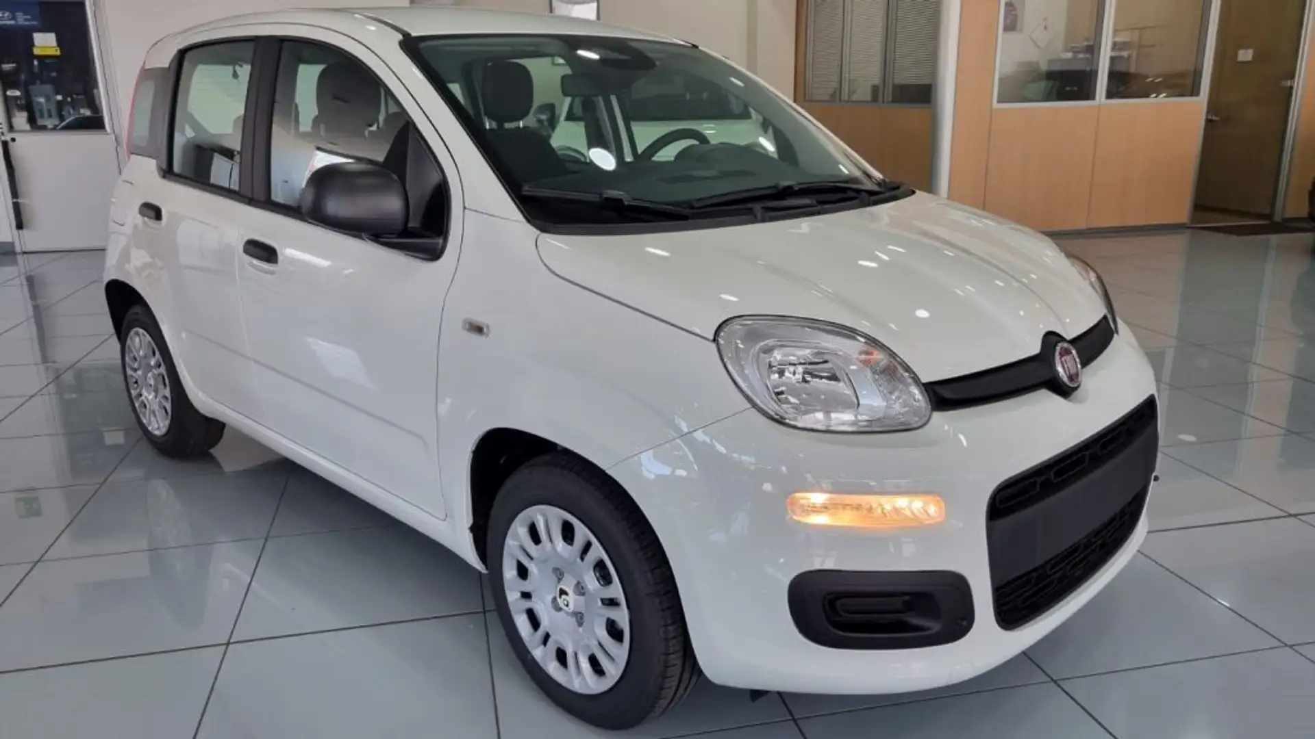 Fiat Panda 1.0 FireFly S&S Hybrid Bianco - 2