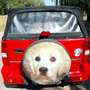 Suzuki Jimny Comfort - thumbnail 8