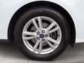 Ford Galaxy 2,0 Eco Blue Titanium  Aut.DAB LED RFK Klimaaut. P Wit - thumbnail 4