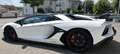 Lamborghini Aventador Roadster SVJ Wit - thumbnail 6