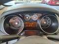 Fiat Punto Evo Punto EVO 1.3 M.Jet 85CV 5 porte Grau - thumbnail 13