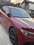 Alfa Romeo Stelvio 2.0 Turbo 16V AT8-Q4 Veloce - thumbnail 14