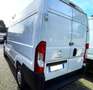 Fiat Ducato 2.2 Hdi 140Cv Euro6 L2H2 // Passo MEDIO Tetto ALTO Weiß - thumbnail 8