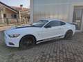 Ford Mustang V6 AUTOMATICA 3.7 Bianco - thumbnail 2
