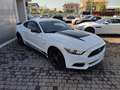 Ford Mustang V6 AUTOMATICA 3.7 Bianco - thumbnail 4