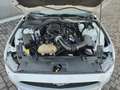 Ford Mustang V6 AUTOMATICA 3.7 Blanc - thumbnail 15
