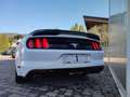Ford Mustang V6 AUTOMATICA 3.7 White - thumbnail 6