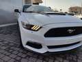 Ford Mustang V6 AUTOMATICA 3.7 White - thumbnail 13