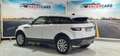 Land Rover Range Rover Evoque 2.0eD4 Pure 2WD 150 Blanc - thumbnail 7