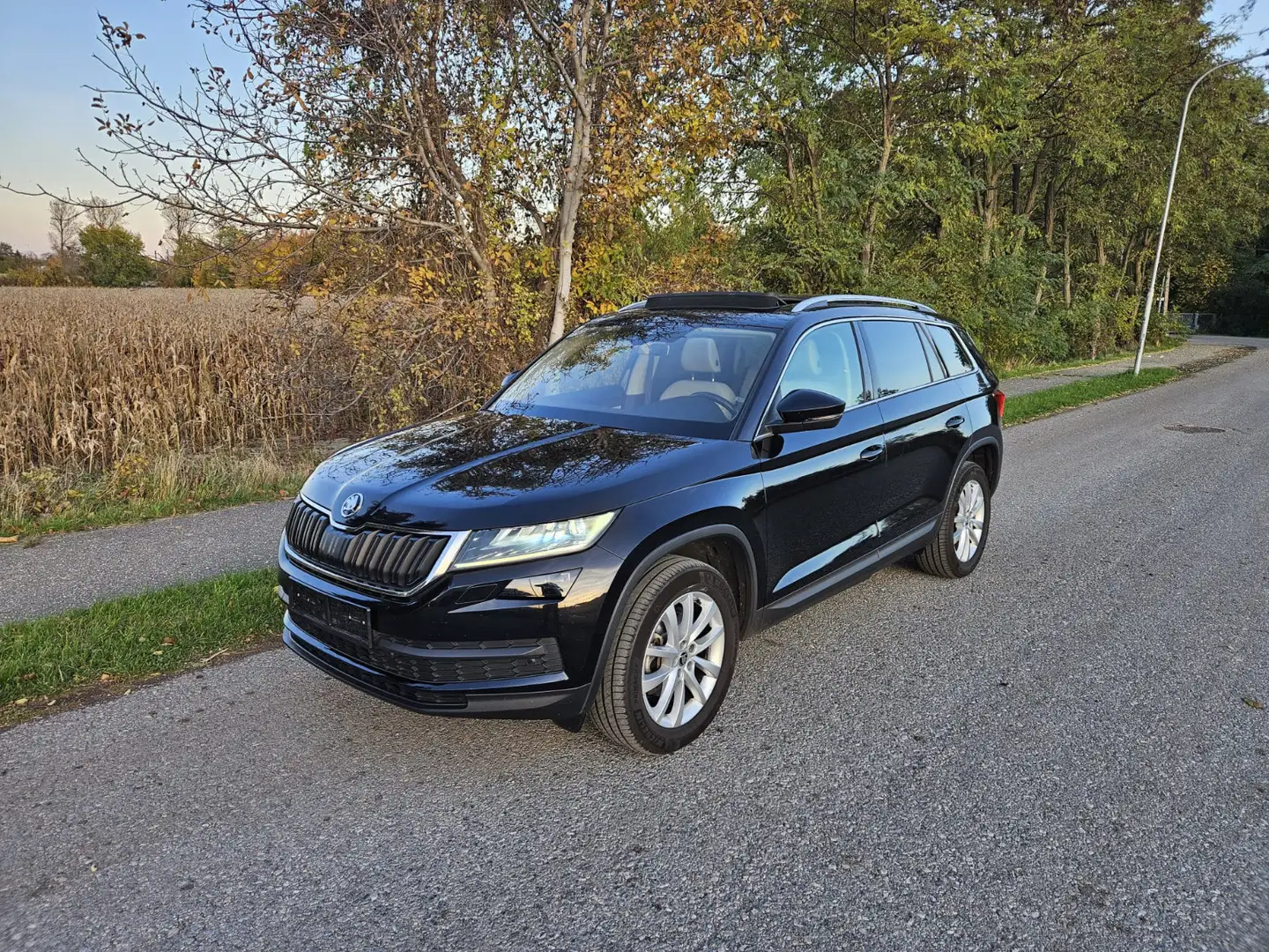 Skoda Kodiaq 1,4 TSI 4x4 Style DSG - 1