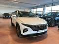 Hyundai TUCSON XLINE 1.6 T-GDI 48V UNICO PR. Bianco - thumbnail 2