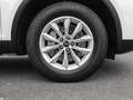 Audi Q5 SUV 40 TDI quattro S tonic AHK Head UP Virtuell Weiß - thumbnail 8