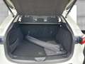 Mazda CX-60 D 254 PS HOMURA P-GSD DA-P CON-P PRE-COM-P Blanc - thumbnail 14