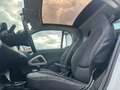 smart forTwo Micro Hybrid Drive *Klima*Panorama*Finanzierung* Weiß - thumbnail 12