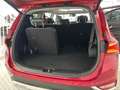 Hyundai SANTA FE Tm 2.2CRDi Tecno SR 4x2 Aut. Rojo - thumbnail 13