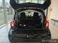 smart forTwo fortwo EQ Premium-Pak.+Plus-Pak.+22kW+Kamera+SHZ Blau - thumbnail 7