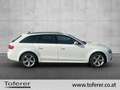 Audi A4 2.0 TDI daylight Weiß - thumbnail 4