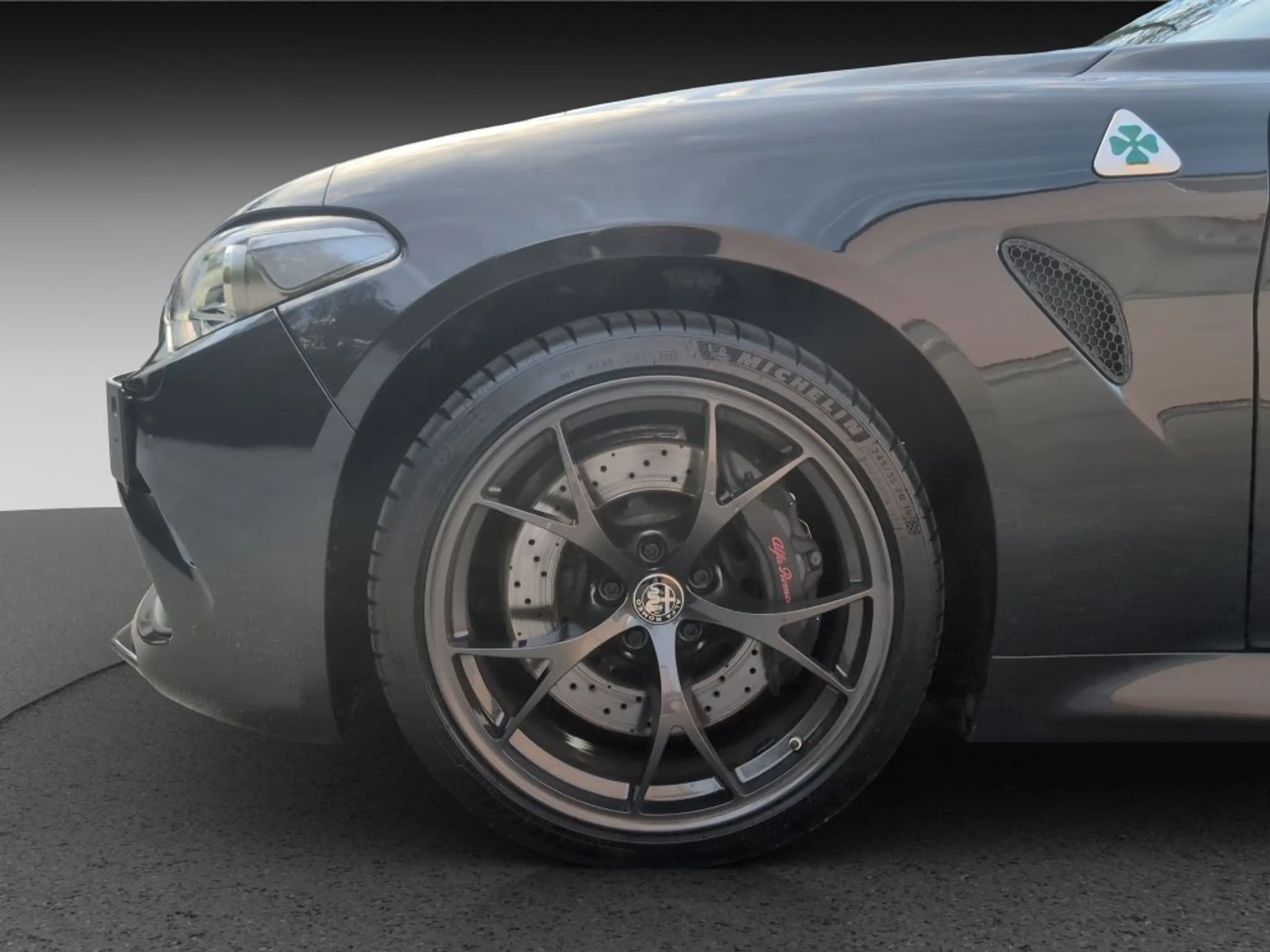 Alfa Romeo Giulia GIULIA QUADRIFOGLIO 1. HAND DE-FZG. ASSISTENZP. — photo 14
