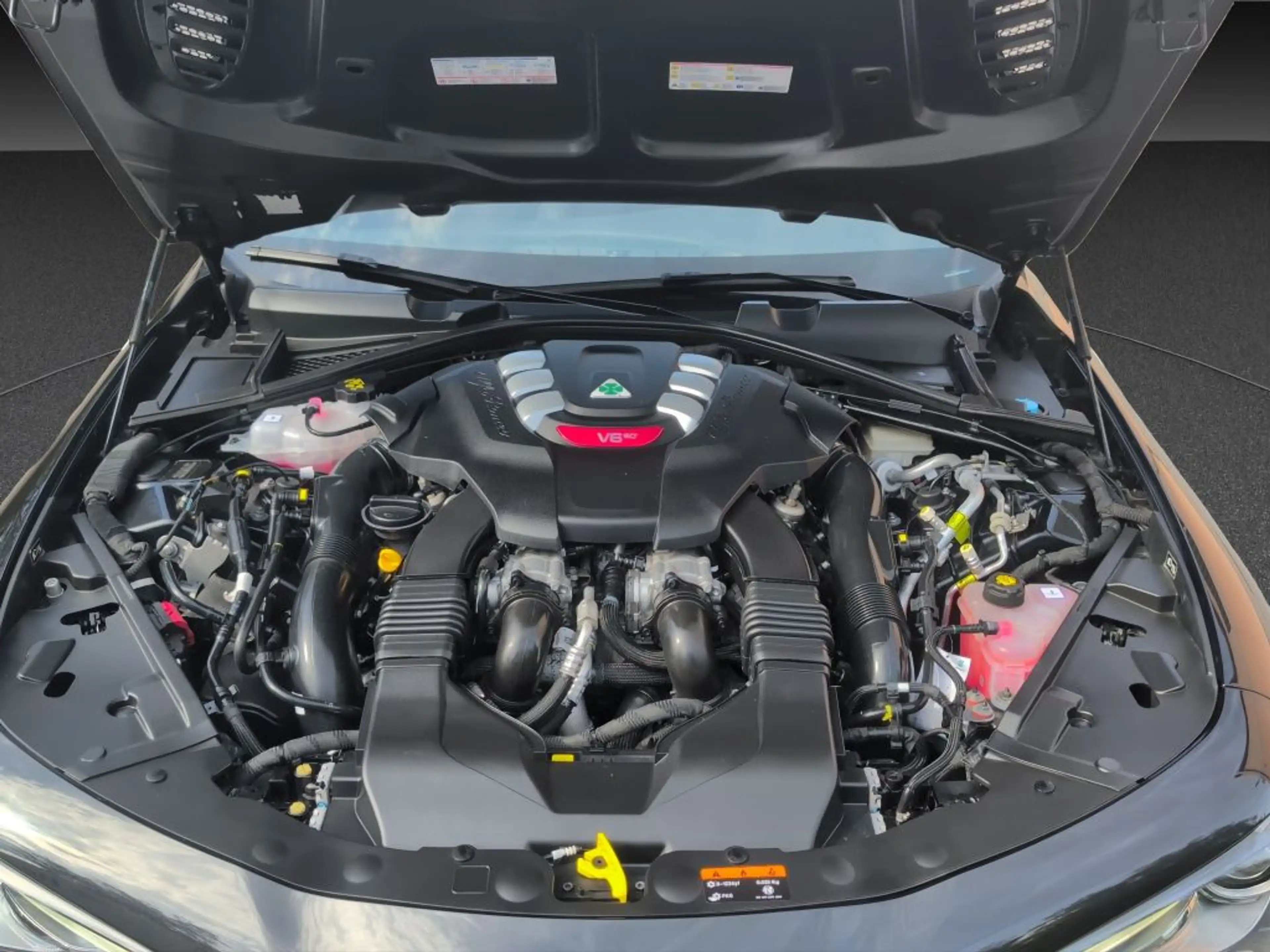 Alfa Romeo Giulia GIULIA QUADRIFOGLIO 1. HAND DE-FZG. ASSISTENZP. — photo 15