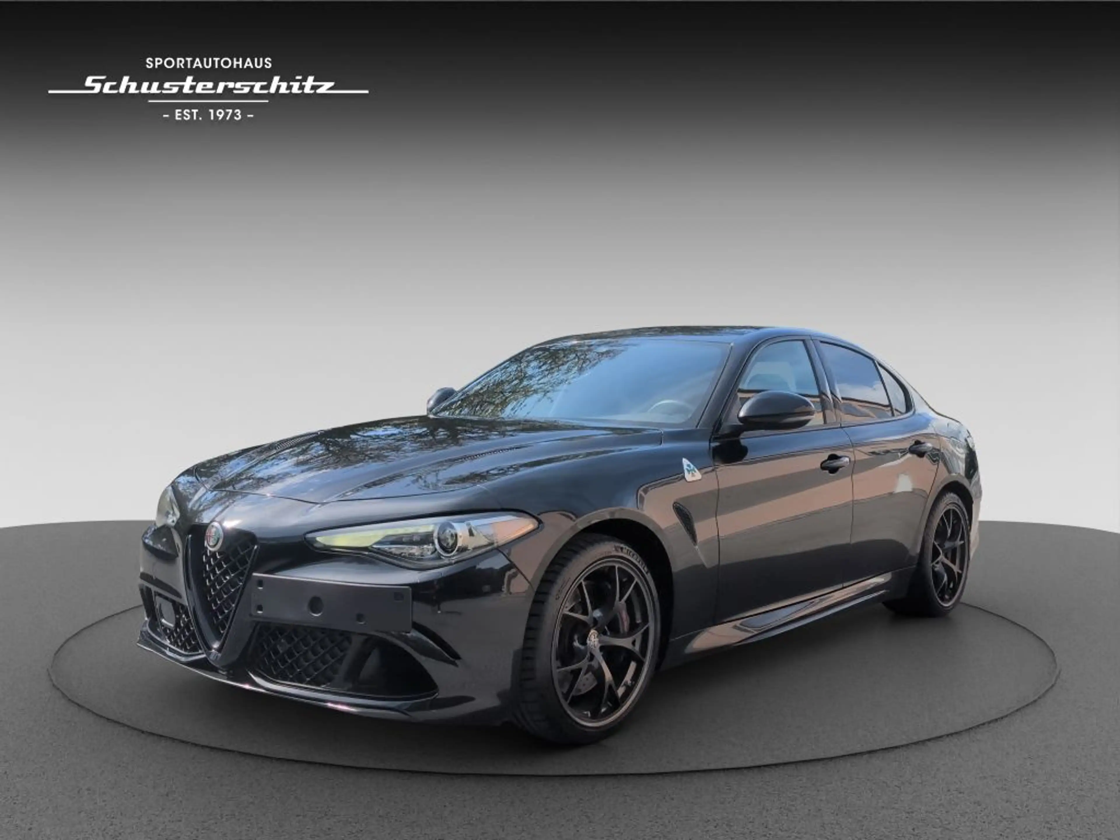 Alfa Romeo Giulia GIULIA QUADRIFOGLIO 1. HAND DE-FZG. ASSISTENZP. — photo 9