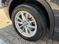 BMW X3 Baureihe X3 xDrive 20 d AHK NAVI LED G01 Grau - thumbnail 15