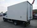 Iveco Daily 35C15 3000 150CV E6 FRIGO ATP FRCX -20° 09/26 Bianco - thumbnail 6