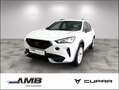 CUPRA Formentor eHYBRID AHK/LED/FAP:XL/Navi/Pano/RFKam Weiß - thumbnail 1