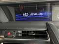 Lexus LC 500h 500h*Sport-Paket*Carbon-Dach*Servicegepflegt* Rojo - thumbnail 25
