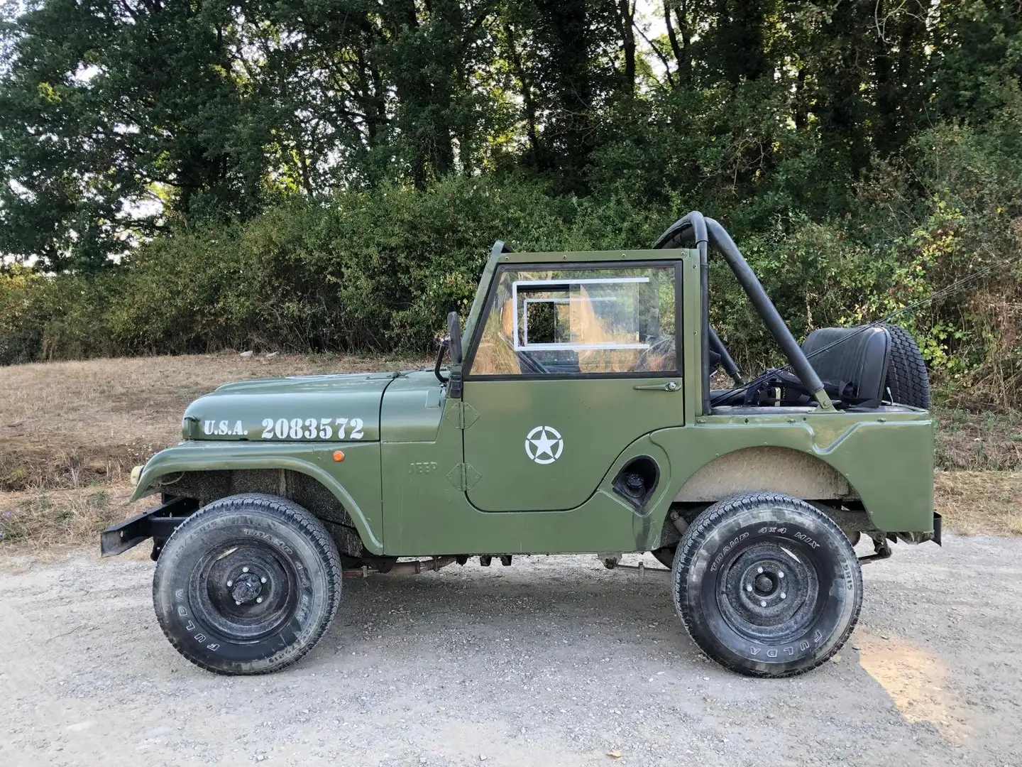Jeep Willys Vert - 1