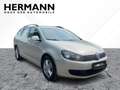 Volkswagen Golf Variant Golf VI Variant 1.6 Comfortline *AHK*NAVI*LM*PDC Plateado - thumbnail 5