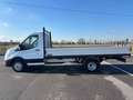 Ford Transit NEOP. + IVA -CASS. FISSO 2.0 Diesel Blanc - thumbnail 5