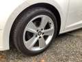 SEAT Leon ST FR 2,0 TDI / AHK / TEMPOMAT / SITZ-HZG Blanc - thumbnail 9